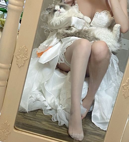 成年人网站免费在线观看_电视剧高清在线观看